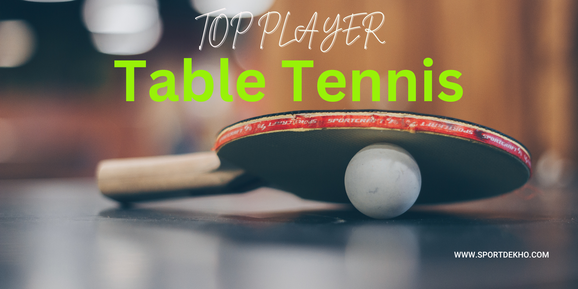 top player in table tennis